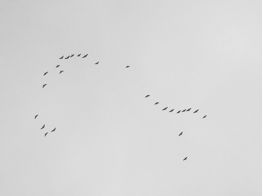 ilkka-karkkainen-1209036-unsplash