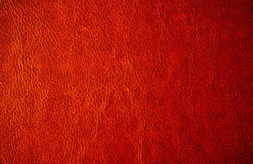 mockaroon-1085588-unsplash